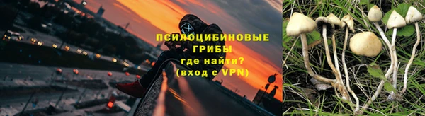 СК Навашино