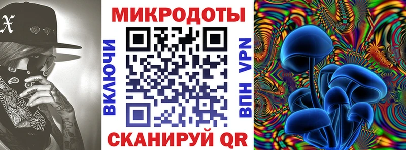 где продают наркотики  Каменск-Шахтинский  Псилоцибиновые грибы Cubensis 
