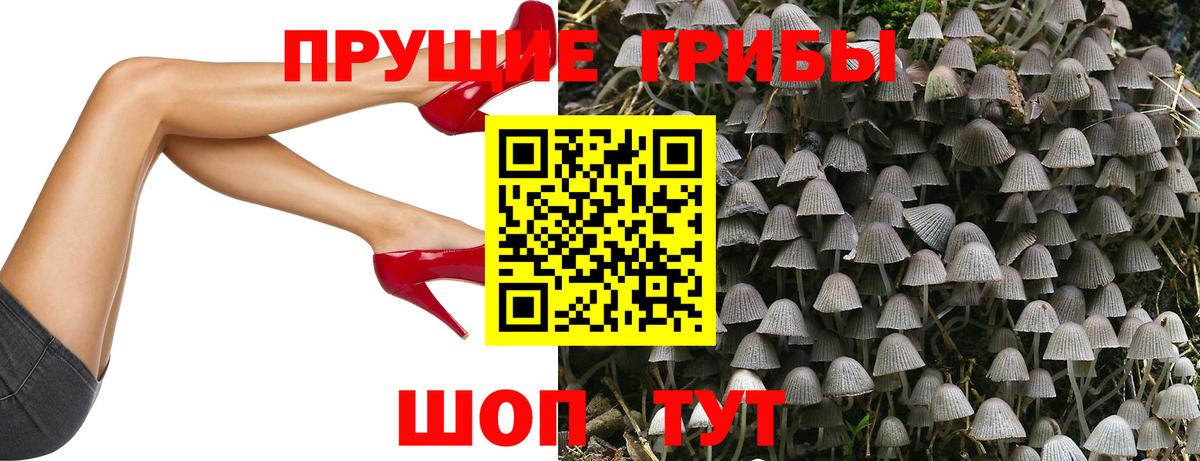 Галлюциногенные грибы Psilocybine cubensis  Вход с VPN  Каменск-Шахтинский 